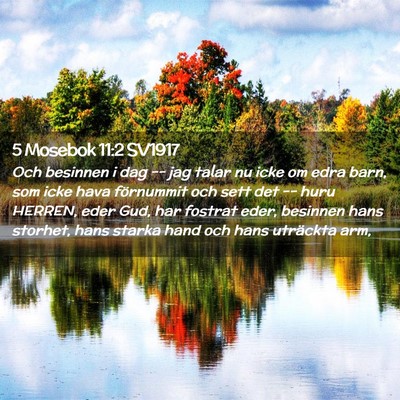 Picture 02 - 5 Mosebok 11:2 SV1917 - Och besinnen i dag -- jag talar nu icke om edra - Bible Verse Picture