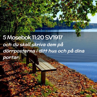 Picture 02 - 5 Mosebok 11:20 SV1917 - och du skall skriva dem på dörrposterna i ditt - Bible Verse Picture
