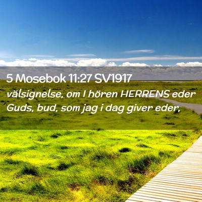 Picture 02 - 5 Mosebok 11:27 SV1917 - välsignelse, om I hören HERRENS eder Guds, bud, - Bible Verse Picture