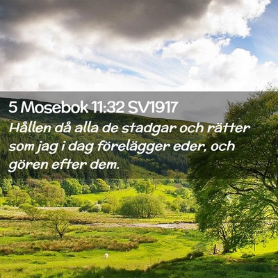 Picture 02 - 5 Mosebok 11:32 SV1917 - Hållen då alla de stadgar och rätter som jag i - Bible Verse Picture