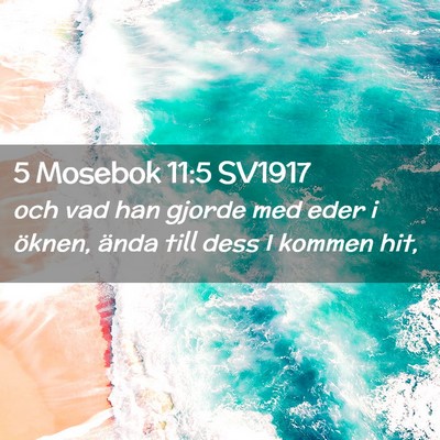 Picture 02 - 5 Mosebok 11:5 SV1917 - och vad han gjorde med eder i öknen, ända till - Bible Verse Picture