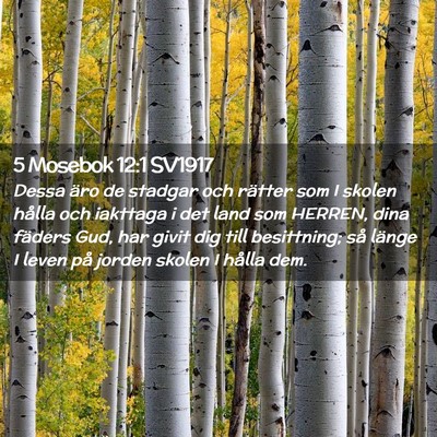 Picture 02 - 5 Mosebok 12:1 SV1917 - Dessa äro de stadgar och rätter som I skolen - Bible Verse Picture