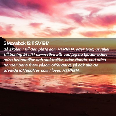 Picture 02 - 5 Mosebok 12:11 SV1917 - då skolen I till den plats som HERREN, eder Gud, - Bible Verse Picture