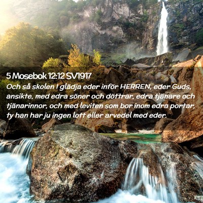 Picture 02 - 5 Mosebok 12:12 SV1917 - Och så skolen I glädja eder inför HERREN, eder - Bible Verse Picture