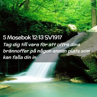 Picture 02 - 5 Mosebok 12:13 SV1917 - Tag dig till vara för att offra dina brännoffer - Bible Verse Picture