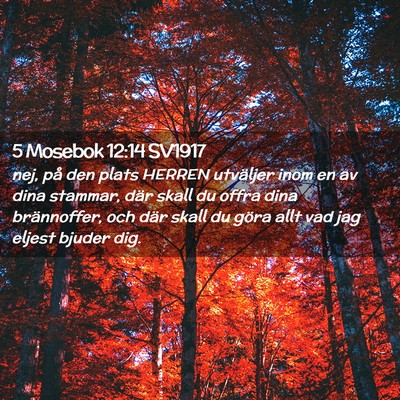 Picture 02 - 5 Mosebok 12:14 SV1917 - nej, på den plats HERREN utväljer inom en av - Bible Verse Picture