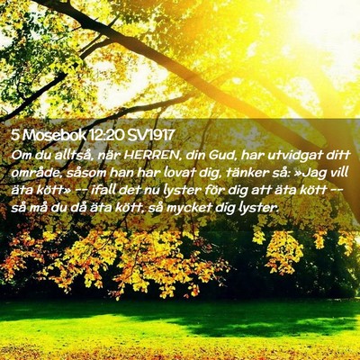 Picture 02 - 5 Mosebok 12:20 SV1917 - Om du alltså, när HERREN, din Gud, har utvidgat - Bible Verse Picture