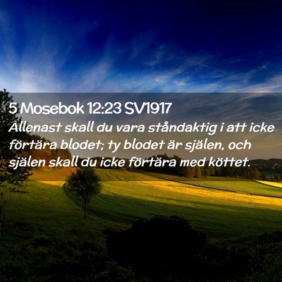 Picture 02 - 5 Mosebok 12:23 SV1917 - Allenast skall du vara ståndaktig i att icke - Bible Verse Picture