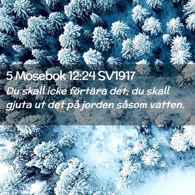 Picture 02 - 5 Mosebok 12:24 SV1917 - Du skall icke förtära det; du skall gjuta ut - Bible Verse Picture