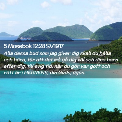 Picture 02 - 5 Mosebok 12:28 SV1917 - Alla dessa bud som jag giver dig skall du hålla - Bible Verse Picture