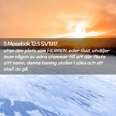 Picture 02 - 5 Mosebok 12:5 SV1917 - utan den plats som HERREN, eder Gud, utväljer - Bible Verse Picture