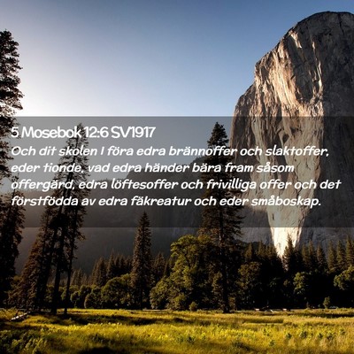 Picture 02 - 5 Mosebok 12:6 SV1917 - Och dit skolen I föra edra brännoffer och - Bible Verse Picture