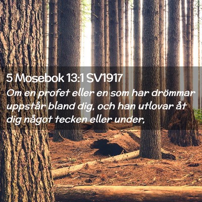 Picture 02 - 5 Mosebok 13:1 SV1917 - Om en profet eller en som har drömmar uppstår - Bible Verse Picture