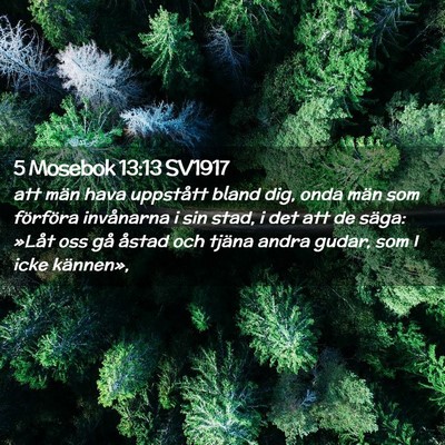 Picture 02 - 5 Mosebok 13:13 SV1917 - att män hava uppstått bland dig, onda män som - Bible Verse Picture
