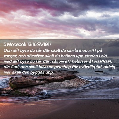 Picture 02 - 5 Mosebok 13:16 SV1917 - Och allt byte du får där skall du samla ihop - Bible Verse Picture
