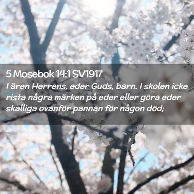Picture 02 - 5 Mosebok 14:1 SV1917 - I ären Herrens, eder Guds, barn. I skolen icke - Bible Verse Picture