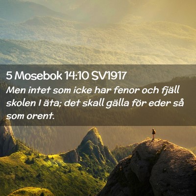 Picture 02 - 5 Mosebok 14:10 SV1917 - Men intet som icke har fenor och fjäll skolen I - Bible Verse Picture