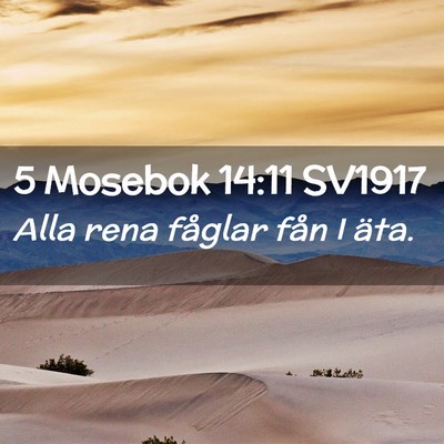 Picture 02 - 5 Mosebok 14:11 SV1917 - Alla rena fåglar fån I - Bible Verse Picture