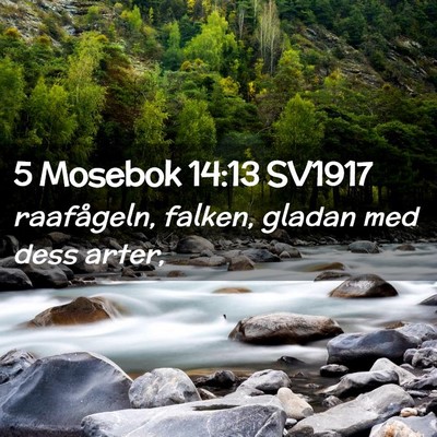 Picture 02 - 5 Mosebok 14:13 SV1917 - raafågeln, falken, gladan med dess - Bible Verse Picture