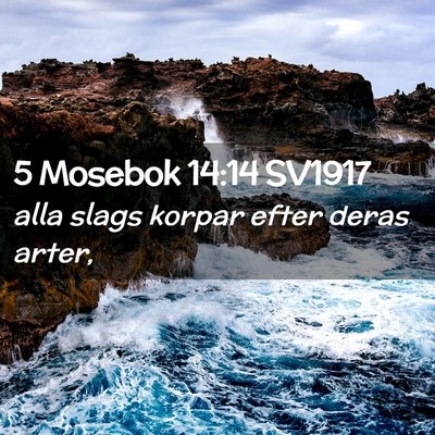 Picture 02 - 5 Mosebok 14:14 SV1917 - alla slags korpar efter deras - Bible Verse Picture