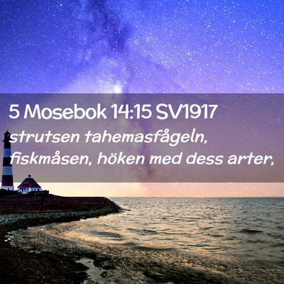Picture 02 - 5 Mosebok 14:15 SV1917 - strutsen tahemasfågeln, fiskmåsen, höken med - Bible Verse Picture