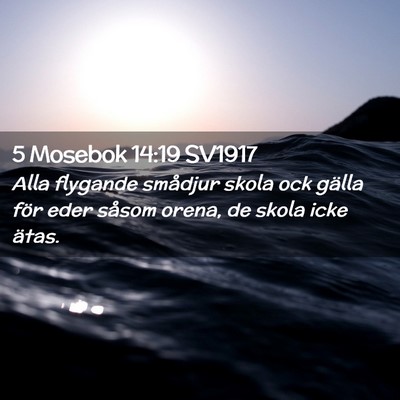 Picture 02 - 5 Mosebok 14:19 SV1917 - Alla flygande smådjur skola ock gälla för eder - Bible Verse Picture