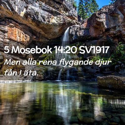 Picture 02 - 5 Mosebok 14:20 SV1917 - Men alla rena flygande djur fån I - Bible Verse Picture