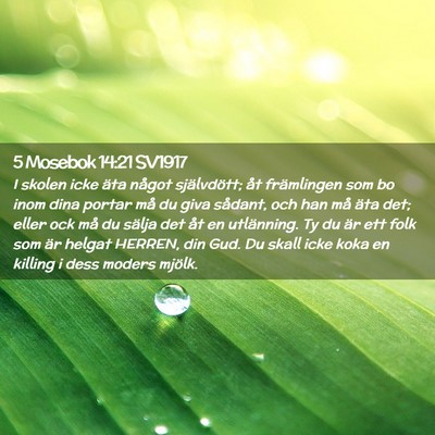 Picture 02 - 5 Mosebok 14:21 SV1917 - I skolen icke äta något självdött; åt - Bible Verse Picture