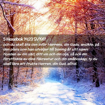 Picture 02 - 5 Mosebok 14:23 SV1917 - och du skall äta den inför Herrens, din Guds, - Bible Verse Picture