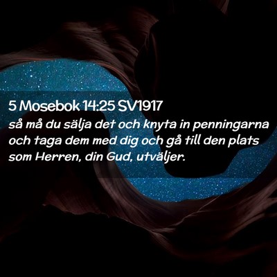 Picture 02 - 5 Mosebok 14:25 SV1917 - så må du sälja det och knyta in penningarna - Bible Verse Picture