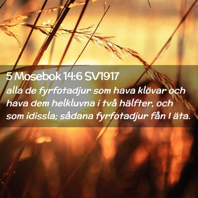 Picture 02 - 5 Mosebok 14:6 SV1917 - alla de fyrfotadjur som hava klövar och hava dem - Bible Verse Picture