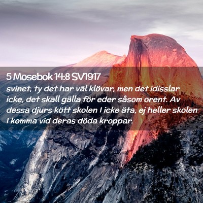 Picture 02 - 5 Mosebok 14:8 SV1917 - svinet, ty det har väl klövar, men det idisslar - Bible Verse Picture