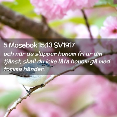 Picture 02 - 5 Mosebok 15:13 SV1917 - och när du släpper honom fri ur din tjänst, - Bible Verse Picture