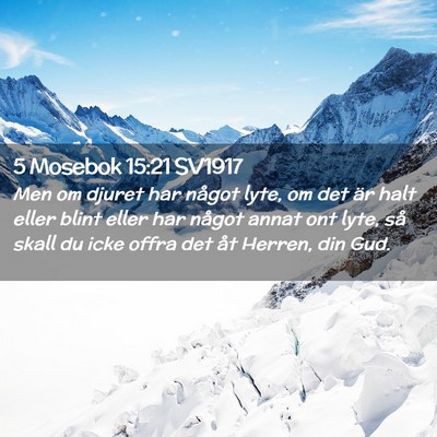 Picture 02 - 5 Mosebok 15:21 SV1917 - Men om djuret har något lyte, om det är halt - Bible Verse Picture