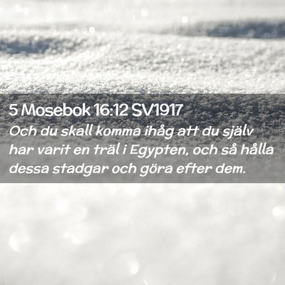 Picture 02 - 5 Mosebok 16:12 SV1917 - Och du skall komma ihåg att du själv har varit - Bible Verse Picture