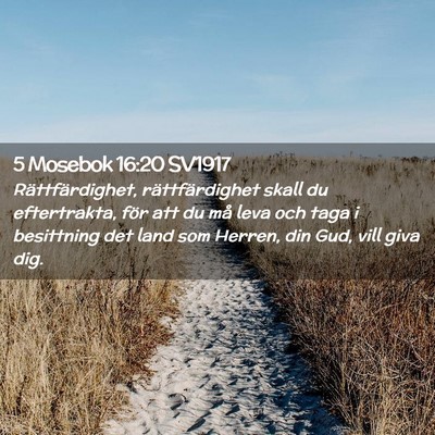 Picture 02 - 5 Mosebok 16:20 SV1917 - Rättfärdighet, rättfärdighet skall du - Bible Verse Picture