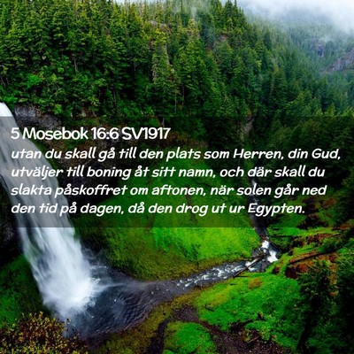 Picture 02 - 5 Mosebok 16:6 SV1917 - utan du skall gå till den plats som Herren, din - Bible Verse Picture