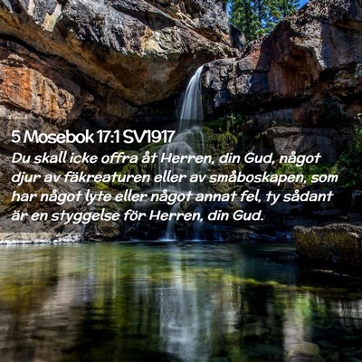 Picture 02 - 5 Mosebok 17:1 SV1917 - Du skall icke offra åt Herren, din Gud, något - Bible Verse Picture