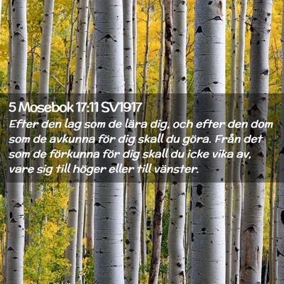 Picture 02 - 5 Mosebok 17:11 SV1917 - Efter den lag som de lära dig, och efter den dom - Bible Verse Picture