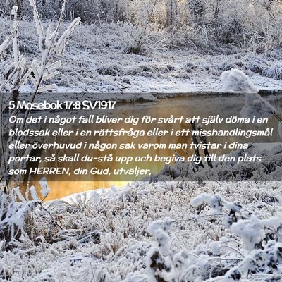 Picture 02 - 5 Mosebok 17:8 SV1917 - Om det i något fall bliver dig för svårt att - Bible Verse Picture