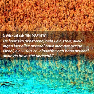 Picture 02 - 5 Mosebok 18:1 SV1917 - De levitiska prästerna, hela Levi stam, skola - Bible Verse Picture