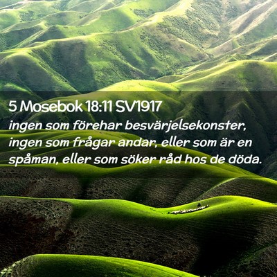 Picture 02 - 5 Mosebok 18:11 SV1917 - ingen som förehar besvärjelsekonster, ingen som - Bible Verse Picture