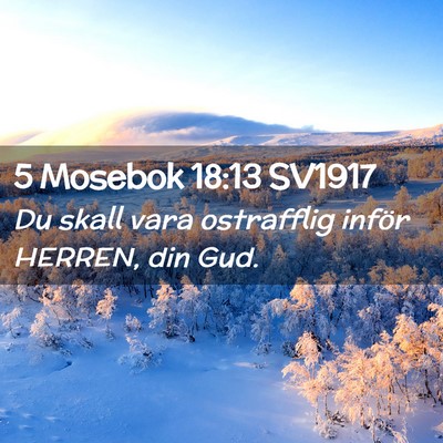 Picture 02 - 5 Mosebok 18:13 SV1917 - Du skall vara ostrafflig inför HERREN, din - Bible Verse Picture