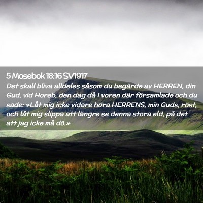Picture 02 - 5 Mosebok 18:16 SV1917 - Det skall bliva alldeles såsom du begärde av - Bible Verse Picture