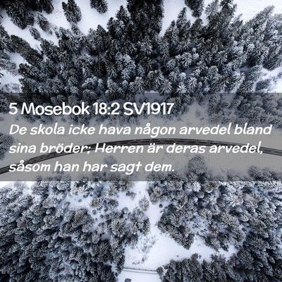 Picture 02 - 5 Mosebok 18:2 SV1917 - De skola icke hava någon arvedel bland sina - Bible Verse Picture