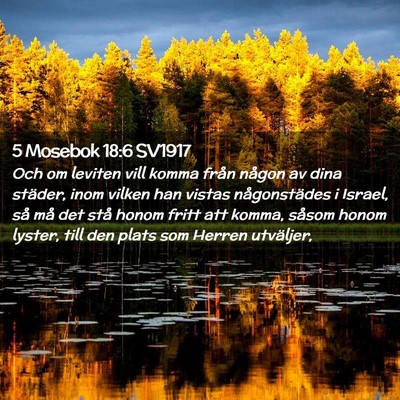 Picture 02 - 5 Mosebok 18:6 SV1917 - Och om leviten vill komma från någon av dina - Bible Verse Picture