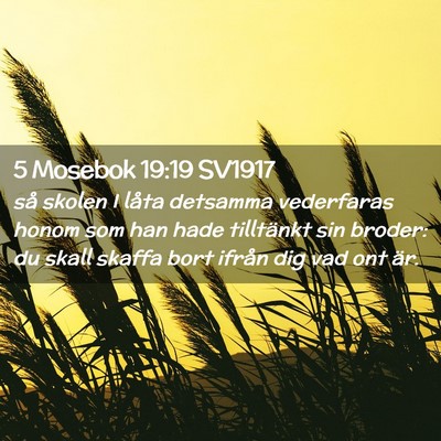 Picture 02 - 5 Mosebok 19:19 SV1917 - så skolen I låta detsamma vederfaras honom som - Bible Verse Picture