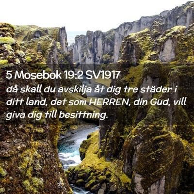 Picture 02 - 5 Mosebok 19:2 SV1917 - då skall du avskilja åt dig tre städer i ditt - Bible Verse Picture