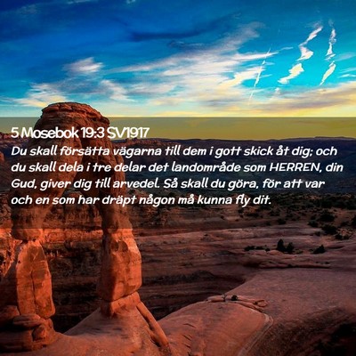 Picture 02 - 5 Mosebok 19:3 SV1917 - Du skall försätta vägarna till dem i gott - Bible Verse Picture