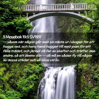 Picture 02 - 5 Mosebok 19:5 SV1917 - -- såsom när någon går med sin nästa ut i - Bible Verse Picture